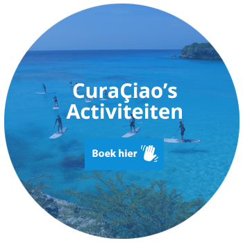 4 activiteiten