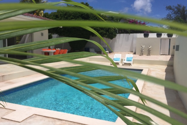 Preview a a sneak peek cover photo behind the plants day villa breeze curacao
